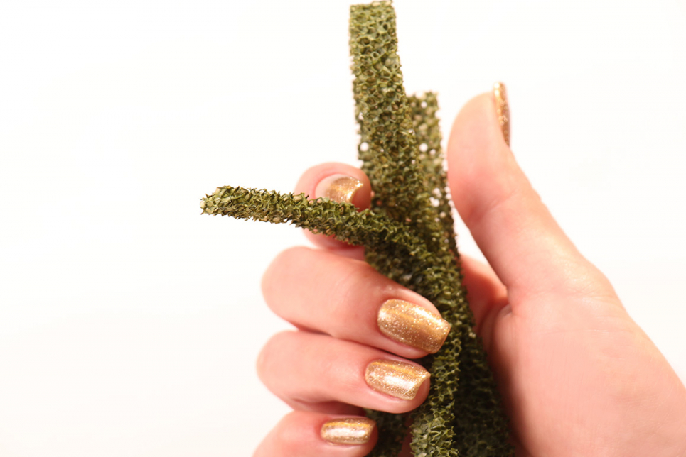 031fl004 Фолиажные ленты для имитации живых изгородей 3 шт. (5х10мм.)