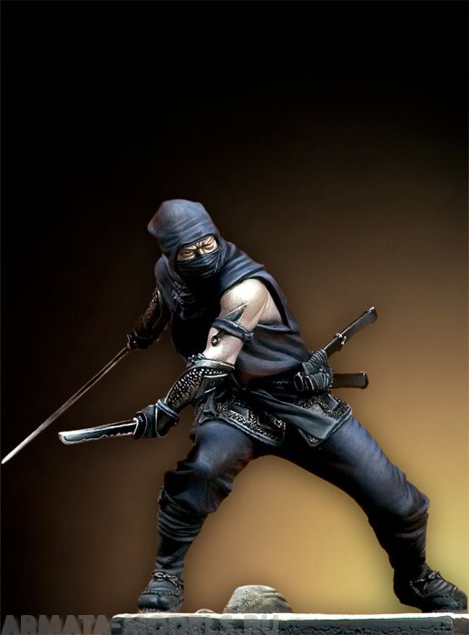 75-061PEG Ninjia Warrior Pegaso Models