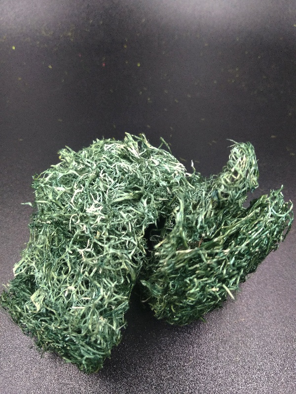 3020 кусты тёмно-зеленые