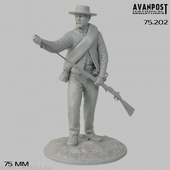 75.202 Солдат Конфедерации, 1864