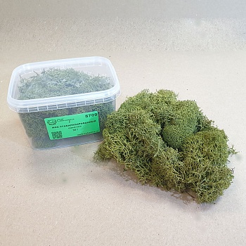 5709 мох стабилизированный - 30 г - серый хаки