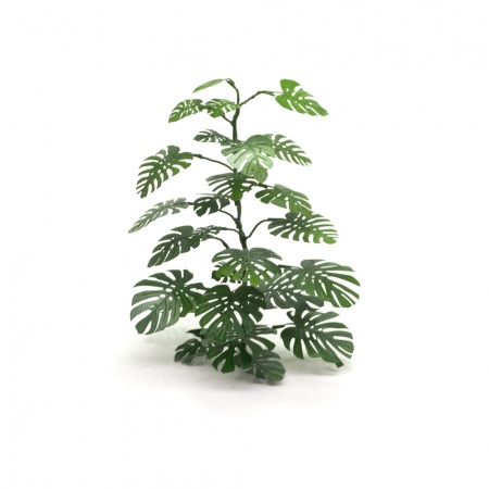 S-065 Монстера, размер L