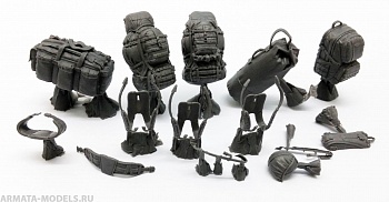 SPS-020  MODERN IDF INDIVIDUAL LOAD-CARRYING EQUIPMENT (RESIN) 1/35