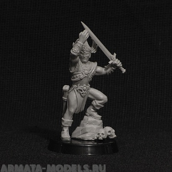 barb barbarian king